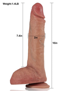 Size chart of the 10 inch thrusting dildo showing length and girth
