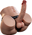 Male Torsos
