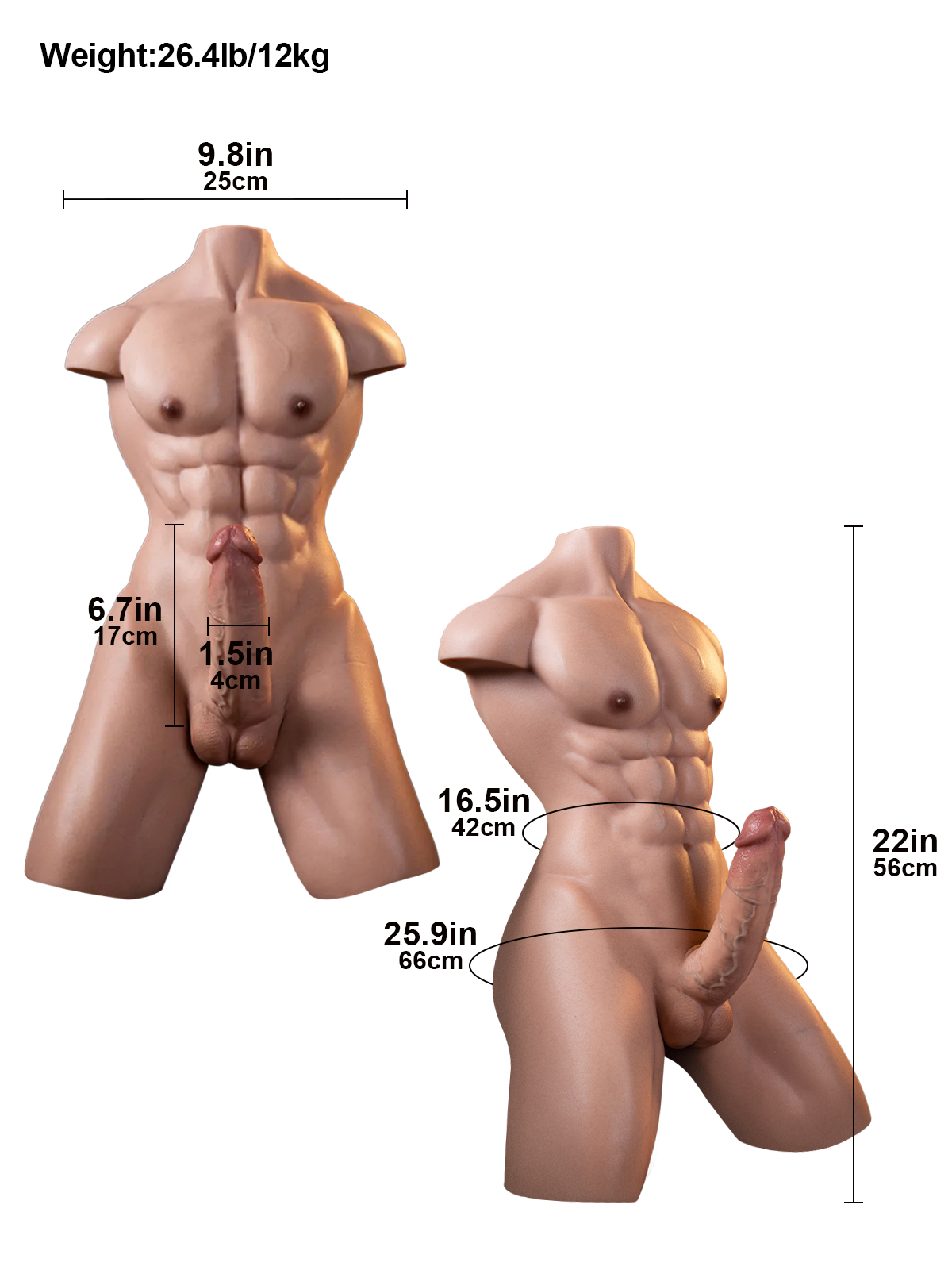 Dante 26.5LB Platinum Silicone Male Sex Torso with Sculpted Abs & 6.7" Realistic Dildo