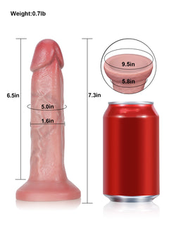 Size chart of the 7 inch beginner anal dildo, length and girth
