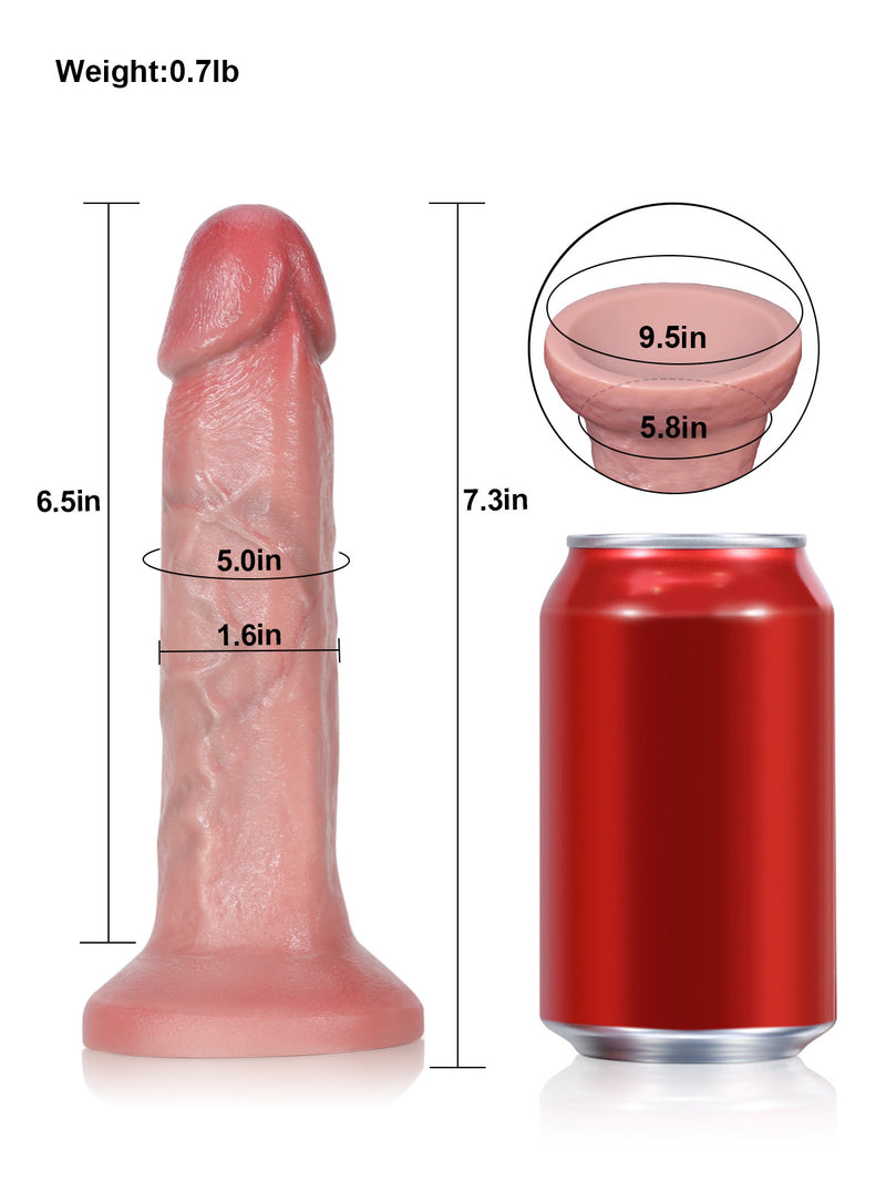 Size chart of the 7 inch beginner anal dildo, length and girth