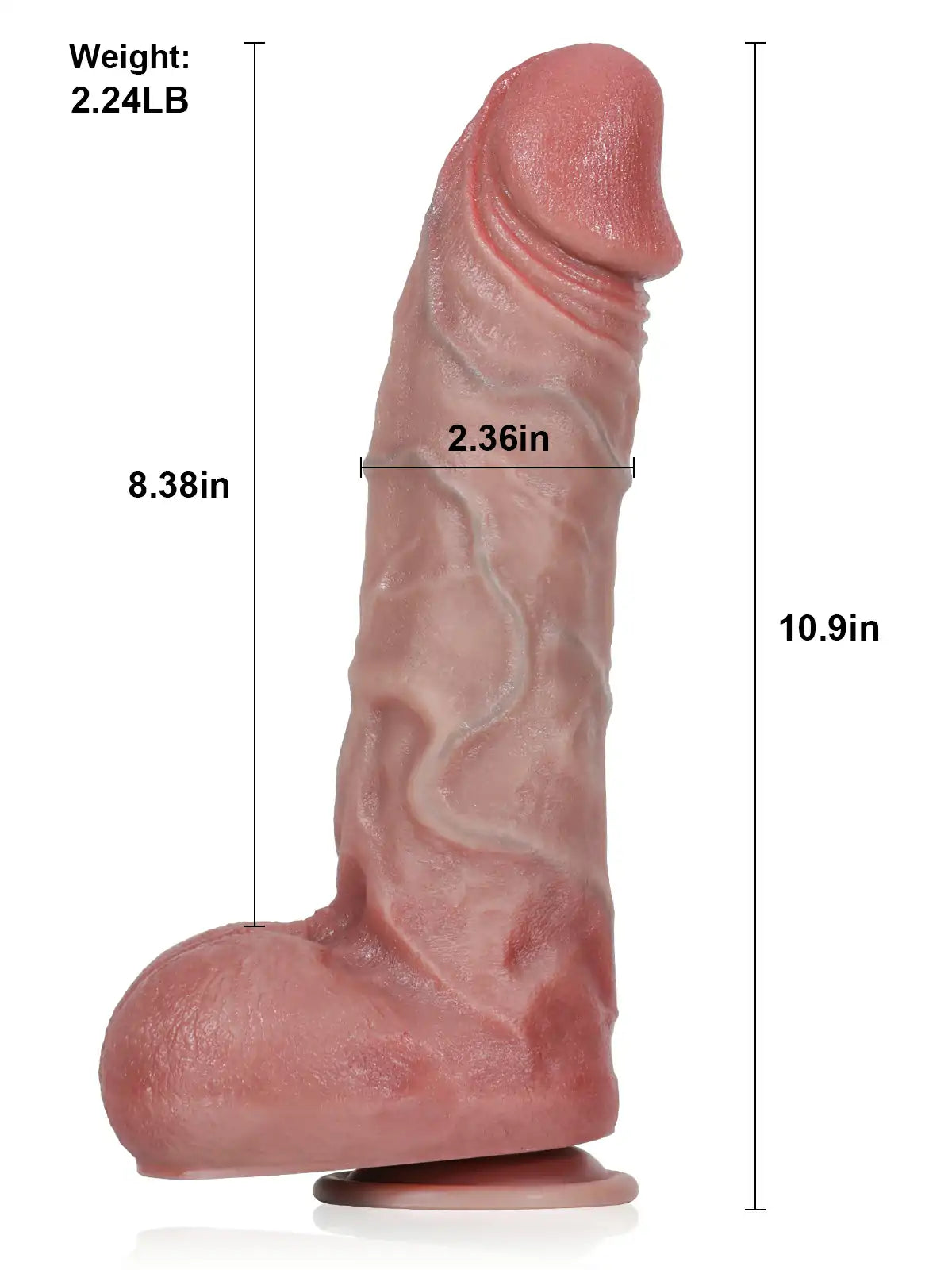 Bryce thick dildo with 2.36 inch diameter and 7.4 inch girth