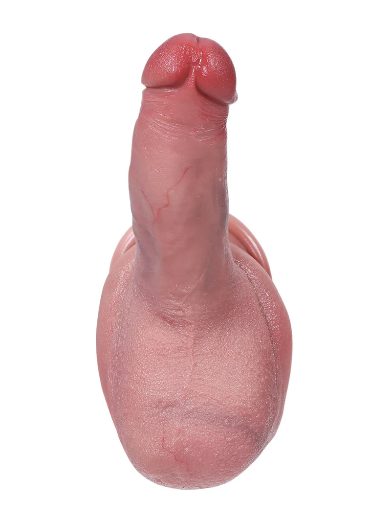 Small realistic flesh dildo with subtle veins, front view